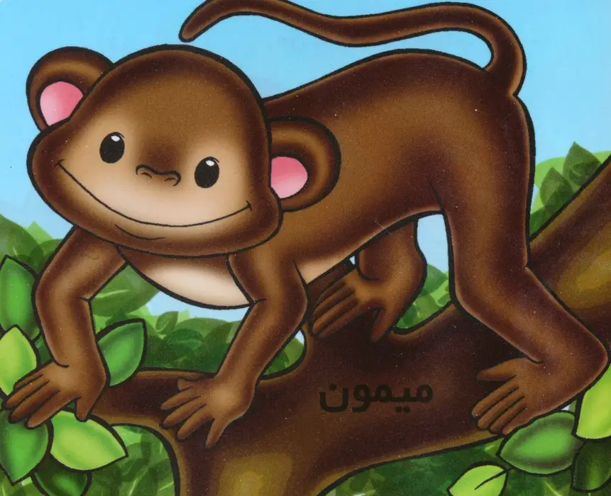 جلد کتاب حیوانات را بشناسیم (میمون)،(گلاسه)