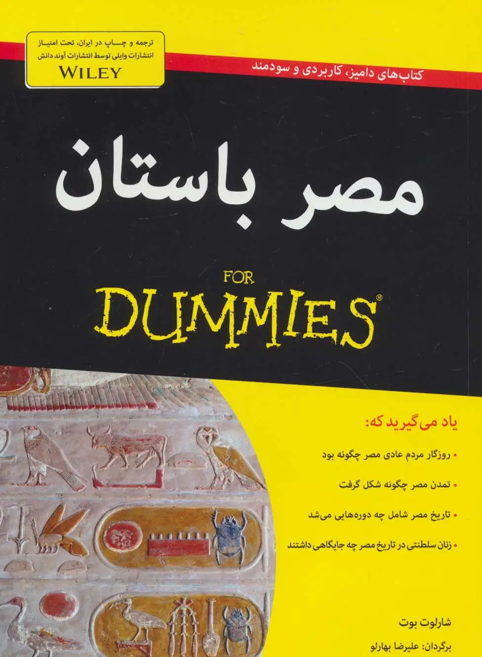 جلد کتاب کتاب های دامیز (مصر باستان)