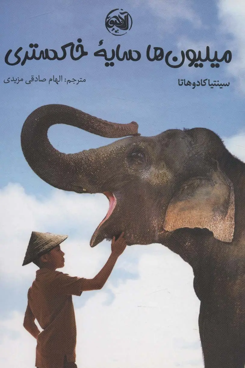 جلد کتاب میلیون ها سایه خاکستری