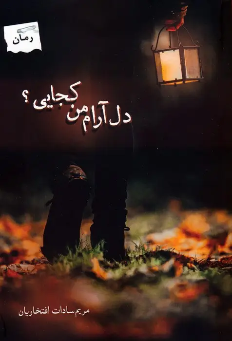 جلد کتاب دل آرام من کجایی؟