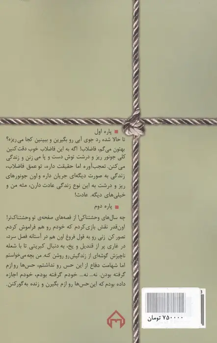 جلد کتاب شطرنج در باد