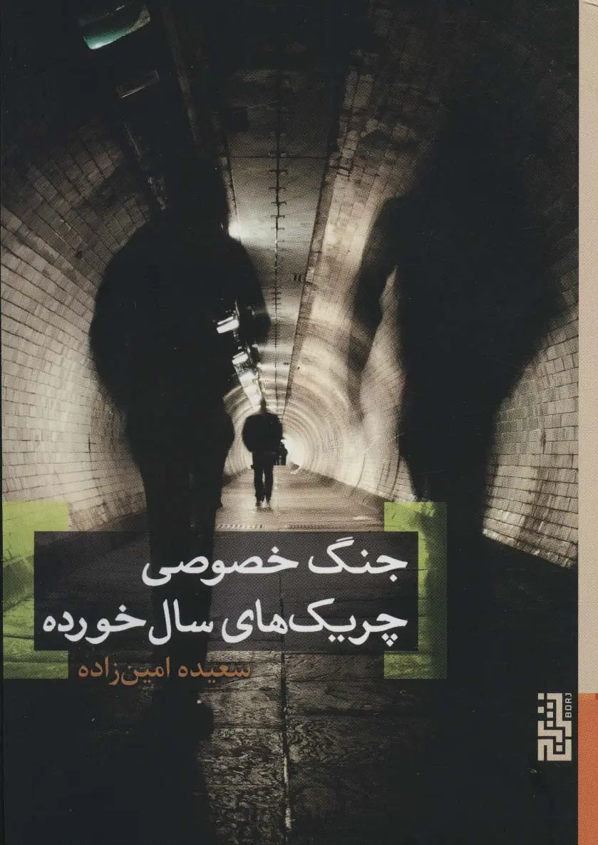 جلد کتاب جنگ خصوصی چریک های سال خورده