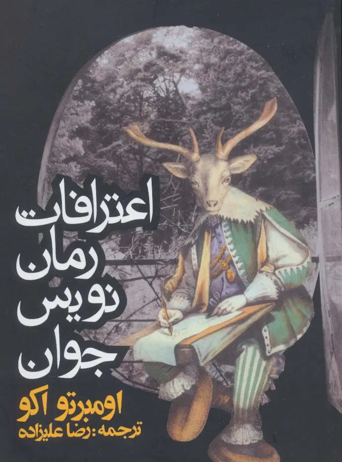 جلد کتاب اعترافات رمان نویس جوان