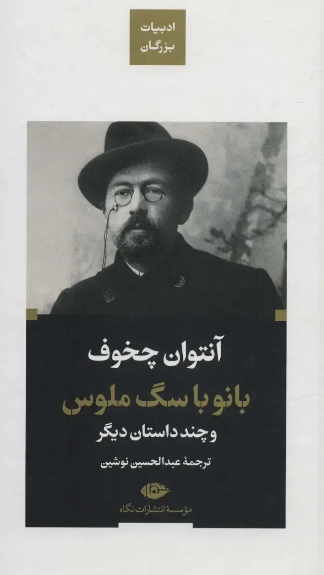 جلد کتاب بانو با سگ ملوس و چند داستان دیگر (ادبیات بزرگان)
