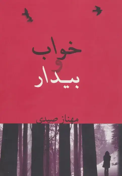 جلد کتاب خواب و بیدار