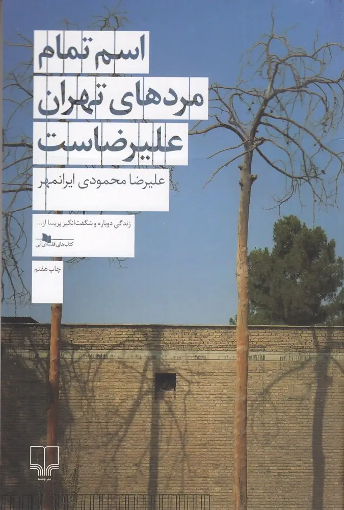 جلد کتاب اسم تمام مردهای تهران علیرضاست
