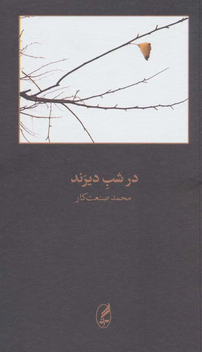 جلد کتاب در شب دیرند