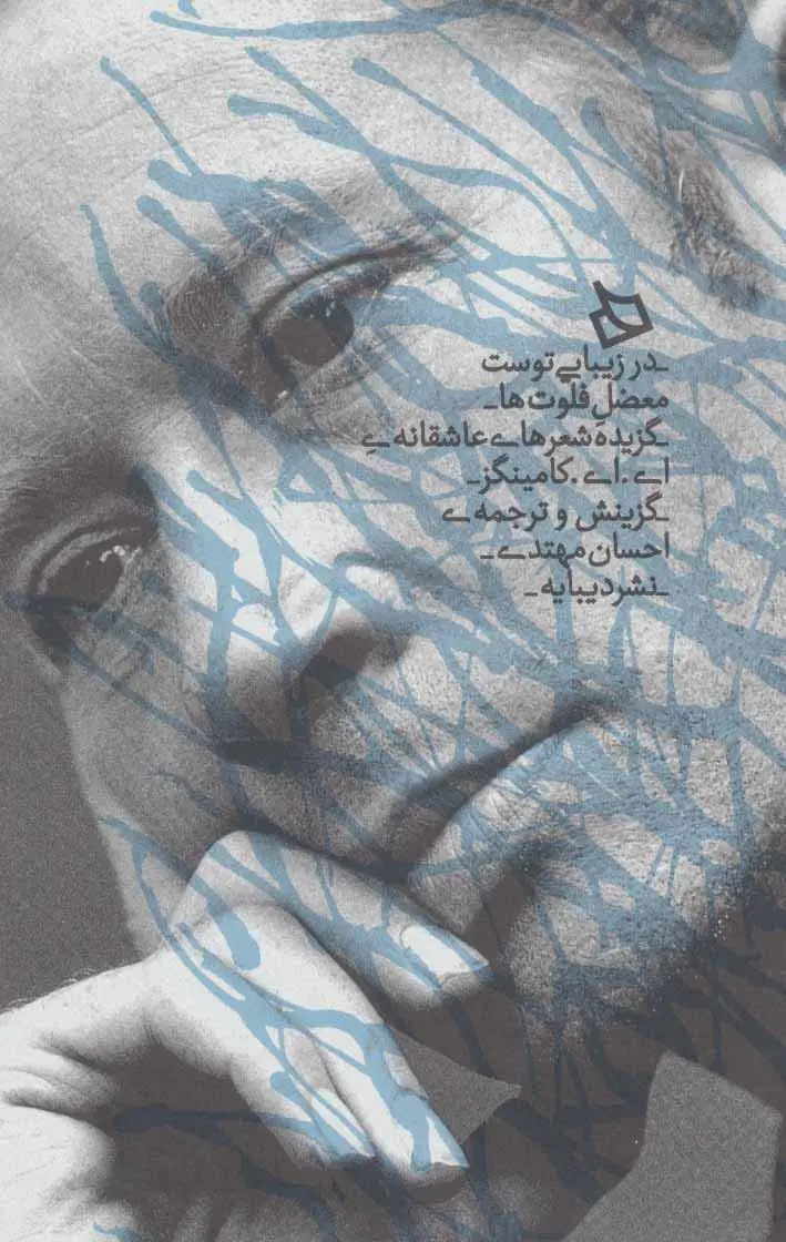 جلد کتاب در زیبایی توست معضل فلوت ها (گزیده شعرهای عاشقانه)