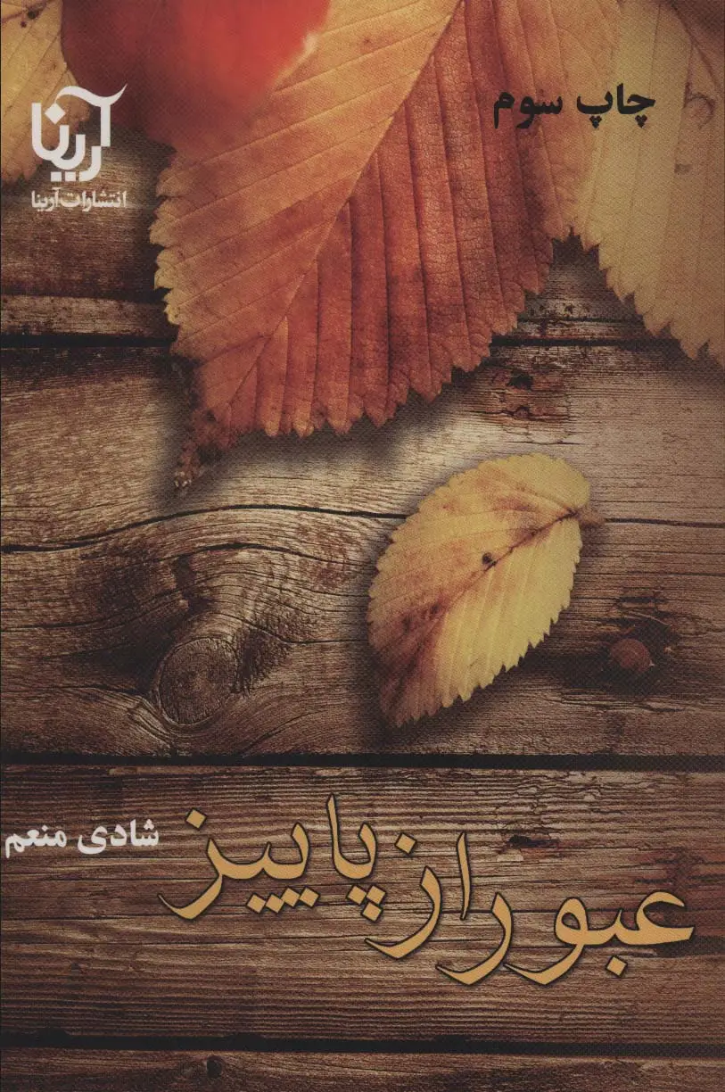 جلد کتاب عبور از پاییز