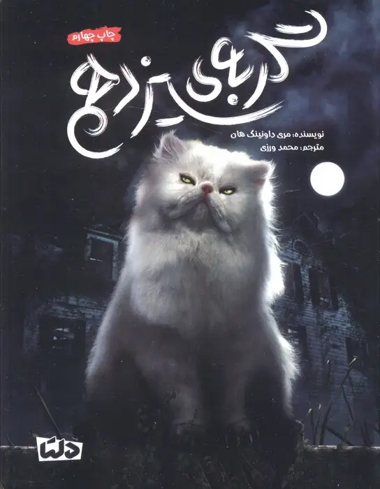 جلد کتاب گربه ی سیزدهم