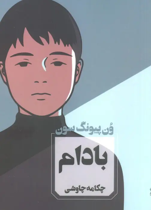 جلد کتاب بادام