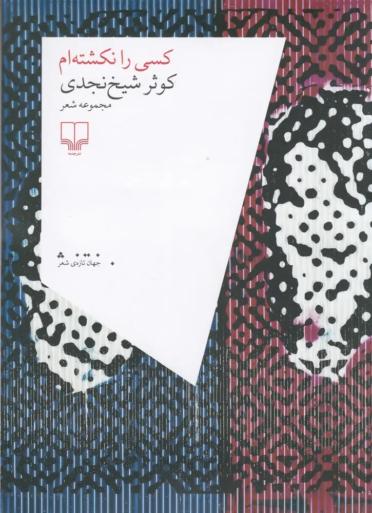 جلد کتاب کسی را نکشته‌ام