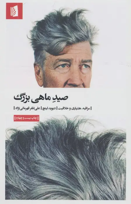 جلد کتاب صید ماهی بزرگ (مراقبه،هشیاری و خلاقیت)