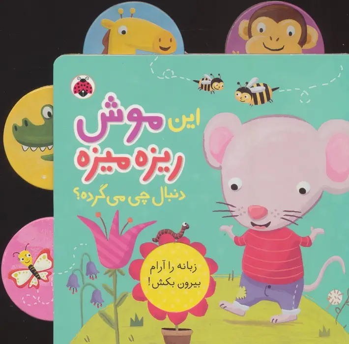 جلد کتاب این موش ریزه میزه (دنبال چی می گرده؟)،(کتاب کشویی)