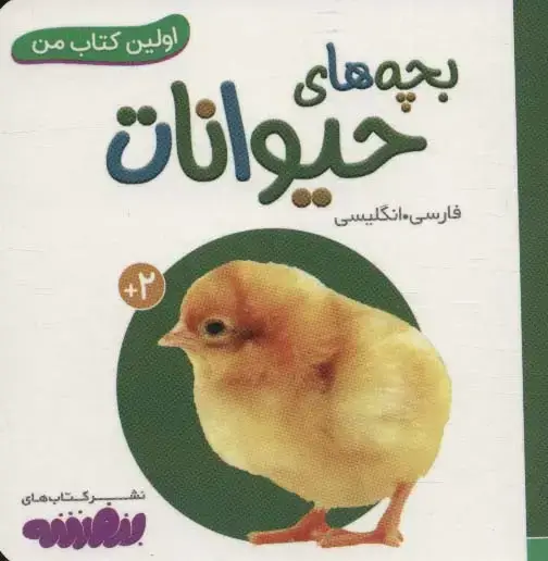 جلد کتاب بچه های حیوانات (اولین کتاب من،بوردبوک)،(2زبانه)