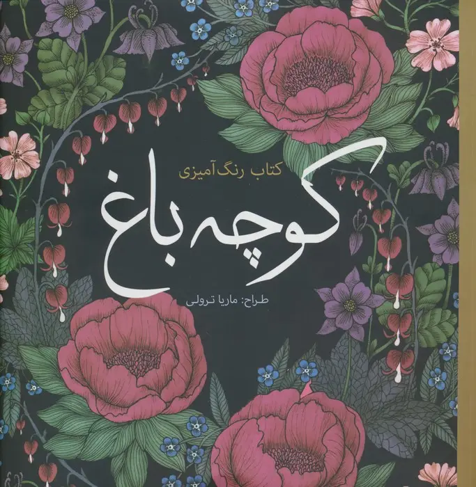 جلد کتاب کتاب رنگ آمیزی کوچه باغ