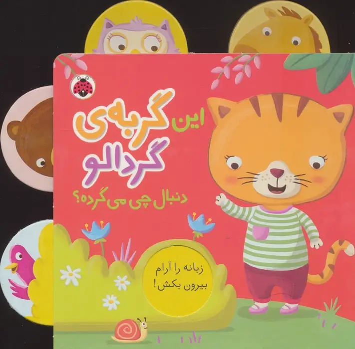 جلد کتاب این گربه ی گردالو (دنبال چی می گرده؟)،(کتاب کشویی)