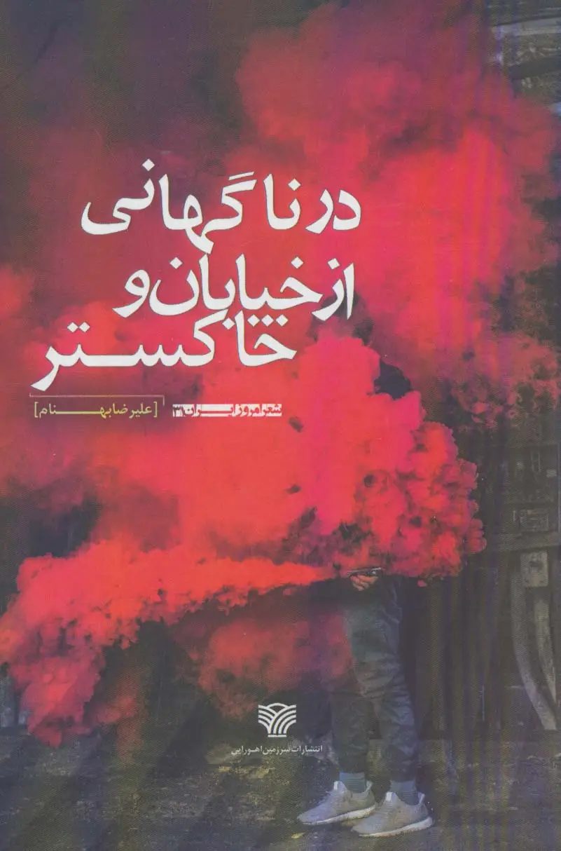 جلد کتاب در ناگهانی از خیابان و خاکستر (شعر امروز ایران31)
