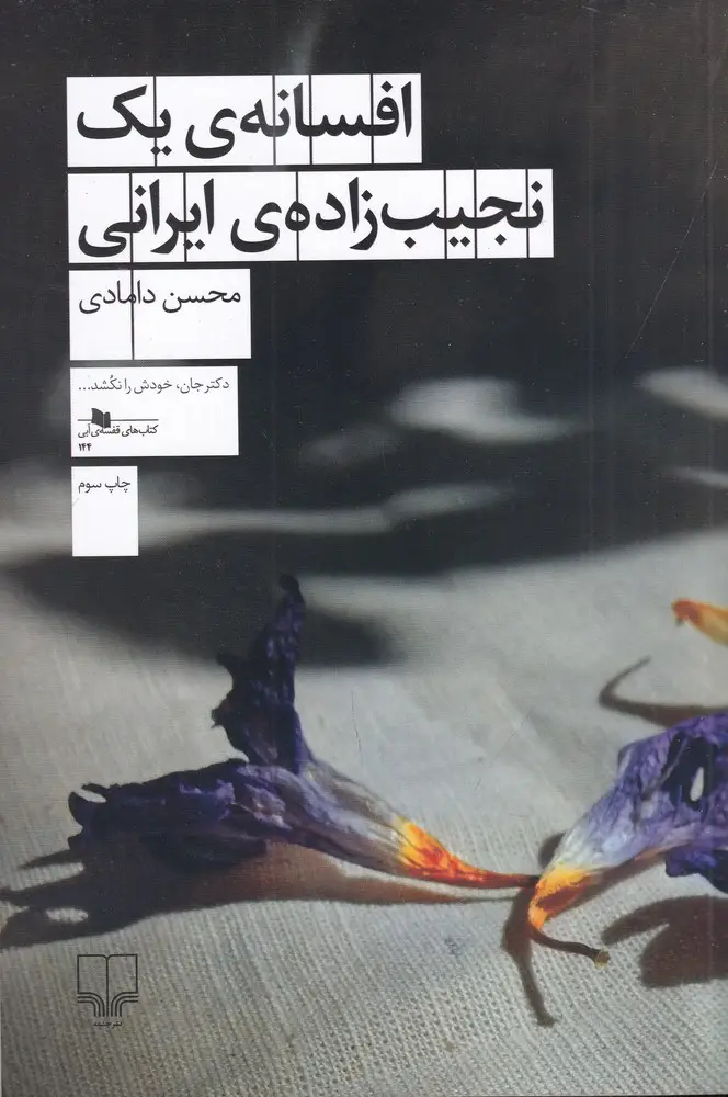 جلد کتاب افسانه‌ی یک نجیب زاده‌ی ایرانی