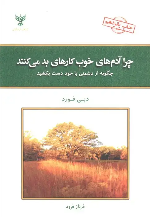 جلد کتاب چرا آدم های خوب کارهای بد می کنند؟ (چگونه از دشمنی با خود دست بکشید)