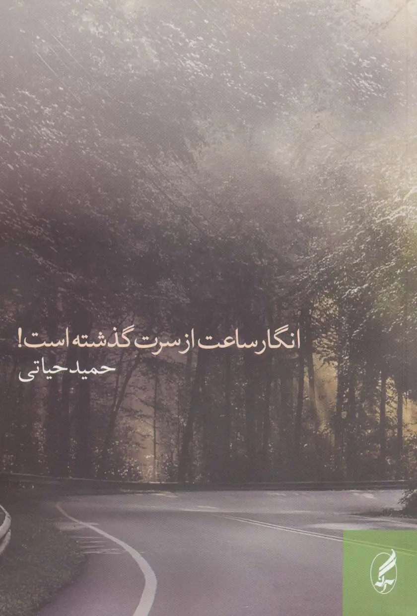 جلد کتاب انگار ساعت از سرت گذشته است!