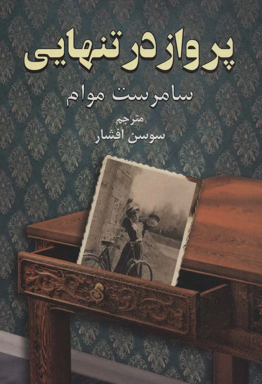 جلد کتاب پرواز در تنهایی