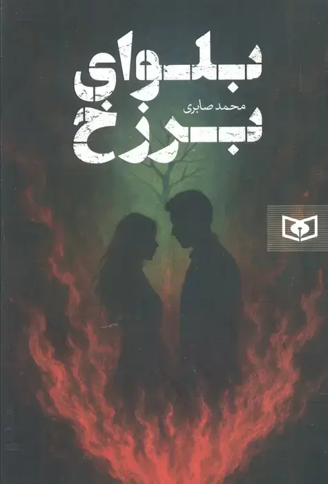 جلد کتاب بلوای برزخ
