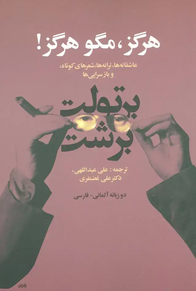 جلد کتاب هرگز،مگو هرگز! (عاشقانه ها،ترانه ها،شعرهای کوتاه و بازسرایی ها)،(2زبانه)