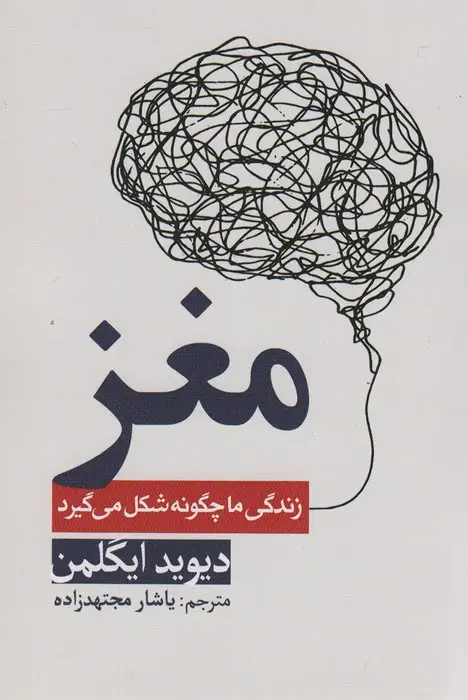 جلد کتاب مغز (زندگی ما چگونه شکل میگیرد)