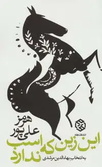 جلد کتاب این زین که اسب ندارد