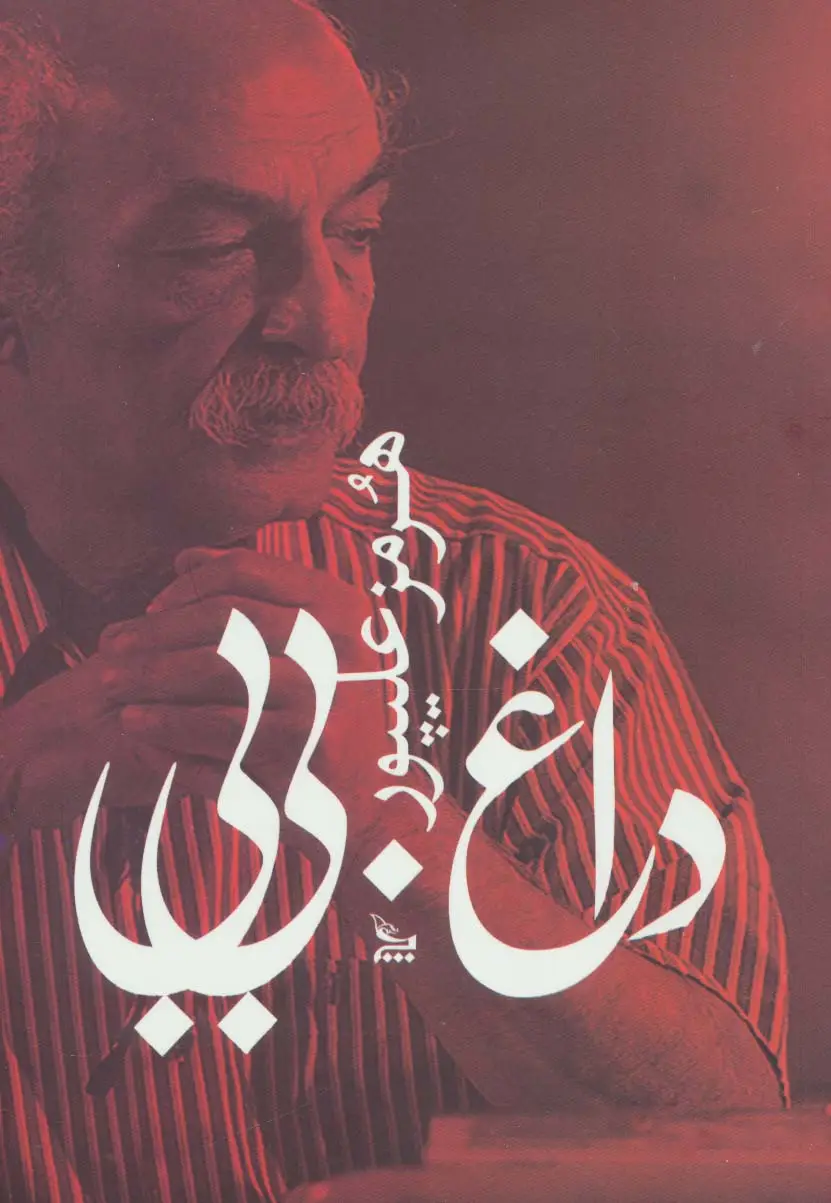جلد کتاب داغ بی بی
