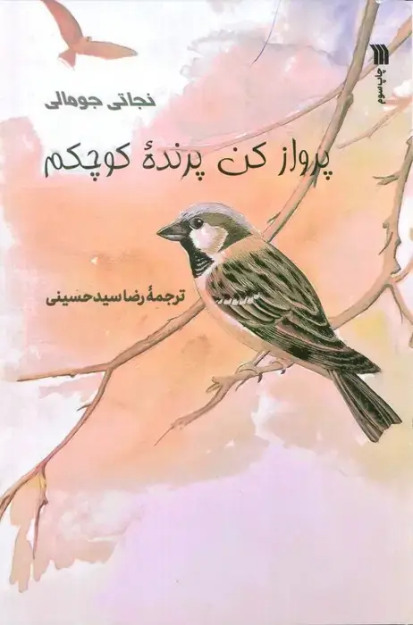 جلد کتاب پرواز کن پرنده کوچکم