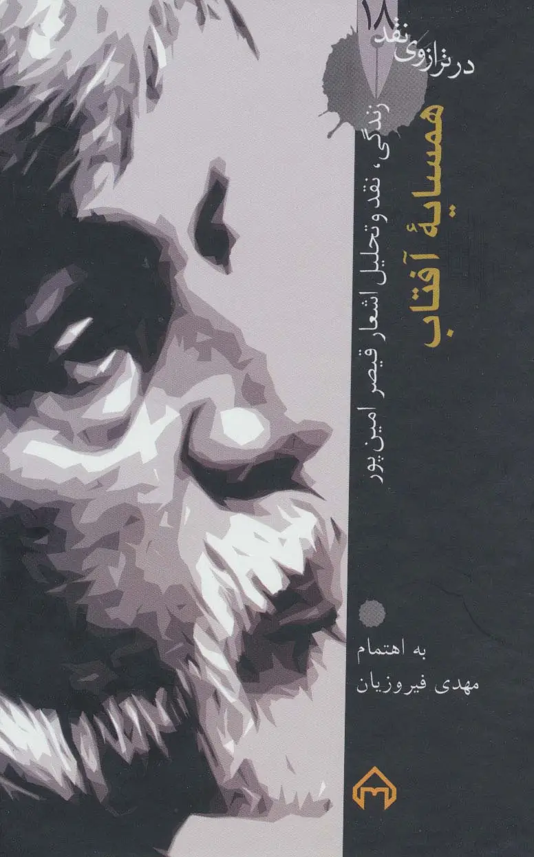 جلد کتاب همسایه آفتاب:زندگی،نقد و تحلیل اشعار قیصر امین پور (در ترازوی نقد18)
