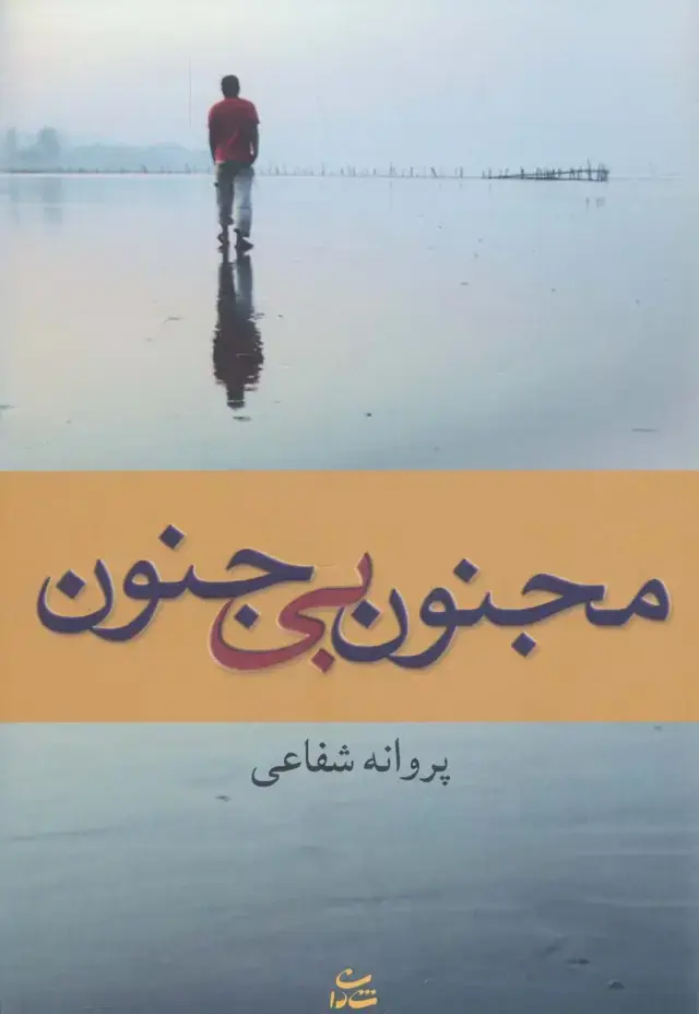 جلد کتاب مجنون بی جنون