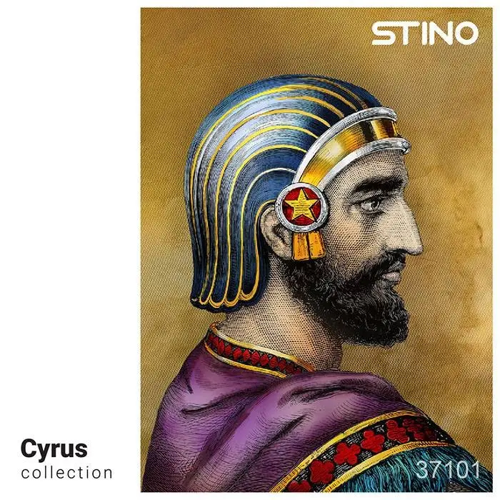 جلد کتاب پازل شیشه ای استینو 1000 تکه طرح کوروش (CYRUS)،(کد 37101)،(باجعبه)