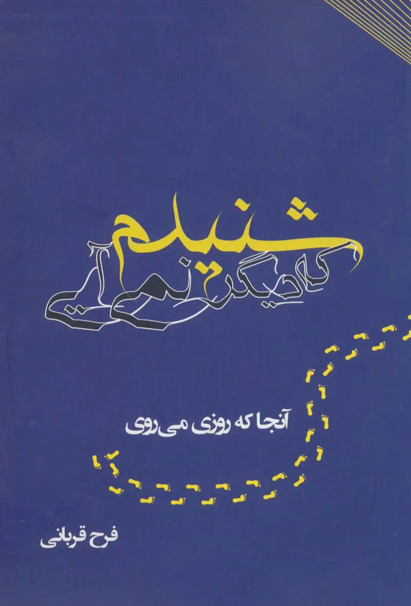 جلد کتاب شنیدم که دیگر نمی آیی (آنجا که روزی می روی)