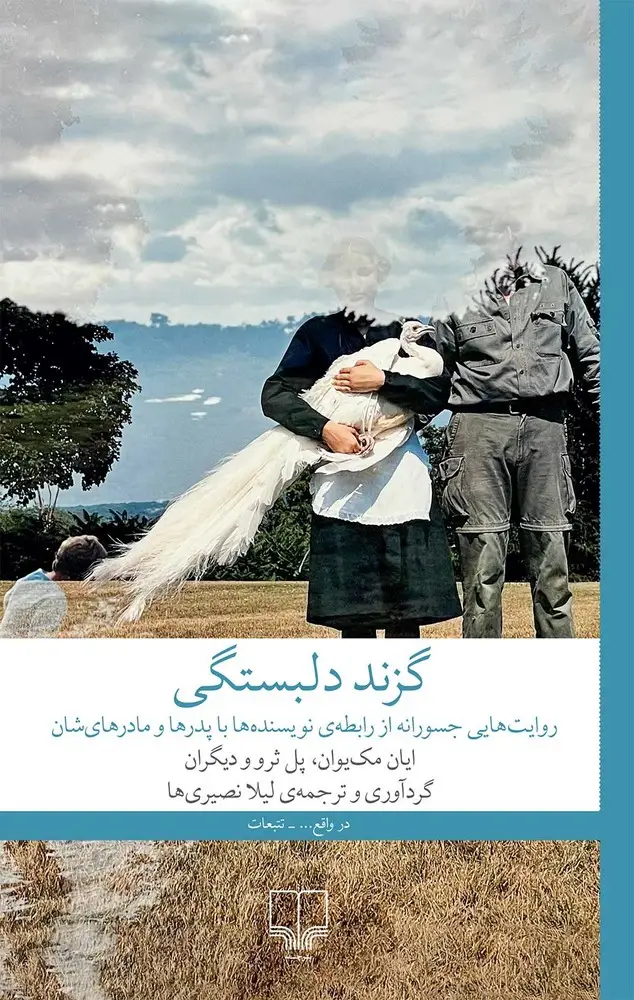جلد کتاب گزند دلبستگی