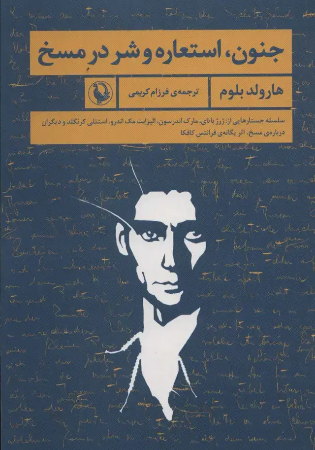 جلد کتاب جنون،استعاره و شر در مسخ