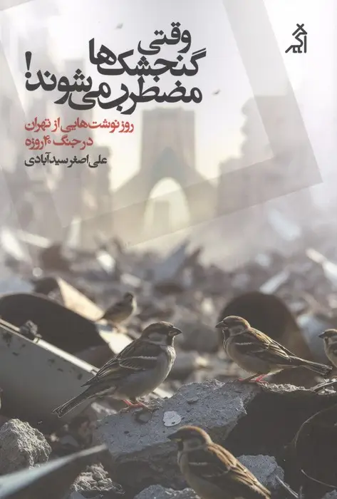 جلد کتاب وقتی گنجشک ها مضطرب می شوند! (روزنوشت هایی از تهران در جنگ 40 روزه)