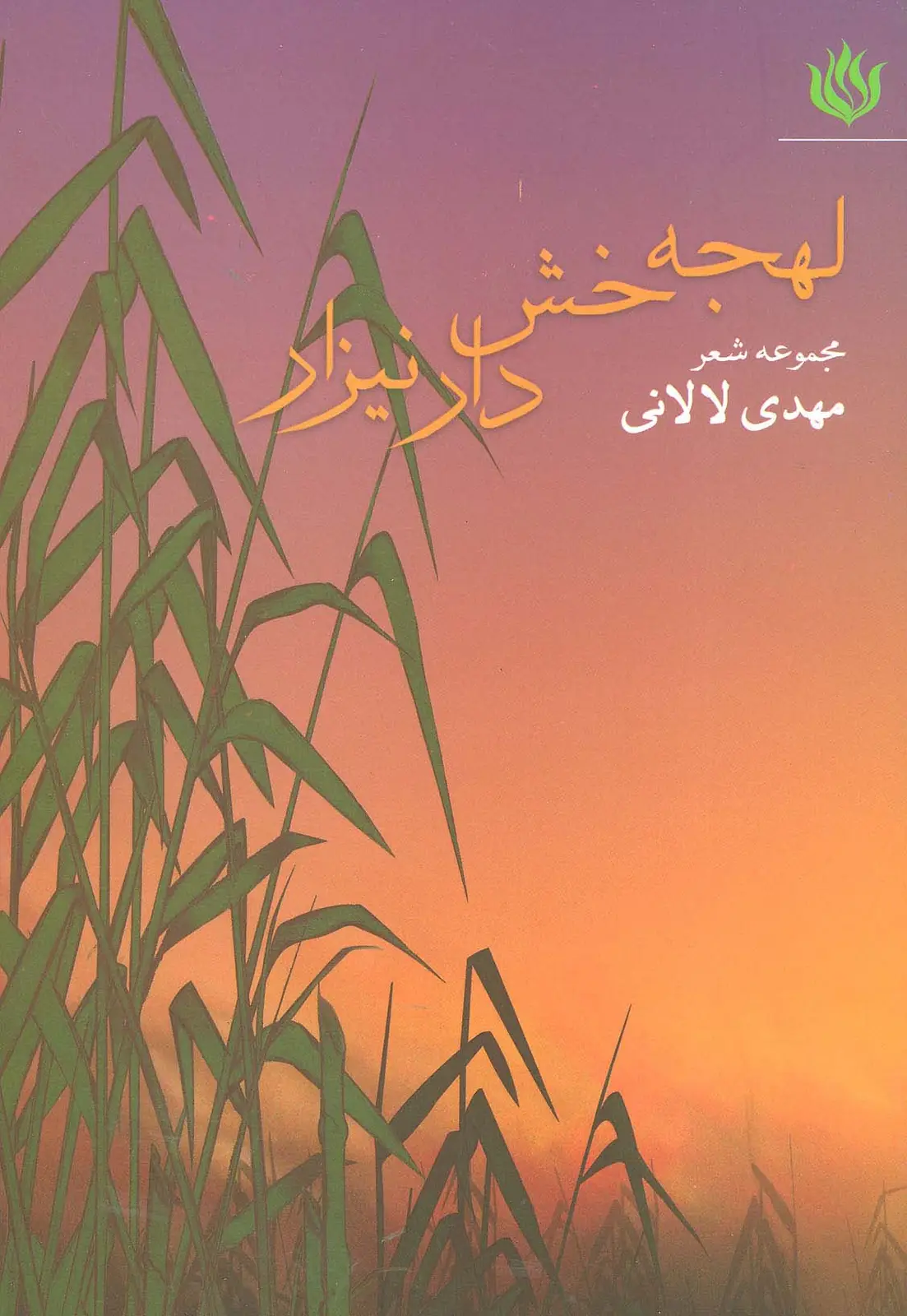 جلد کتاب لهجه خش دار نیزار (مجموعه شعر)