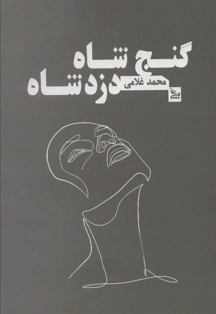 جلد کتاب گنج شاه دزد شاه