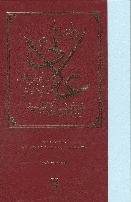 جلد کتاب دانشنامه علائی (منطق،طبیعیات،موسیقی،الهیات)