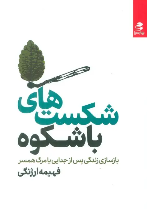 جلد کتاب شکست های باشکوه (بازسازی زندگی پس از جدایی یا مرگ همسر)