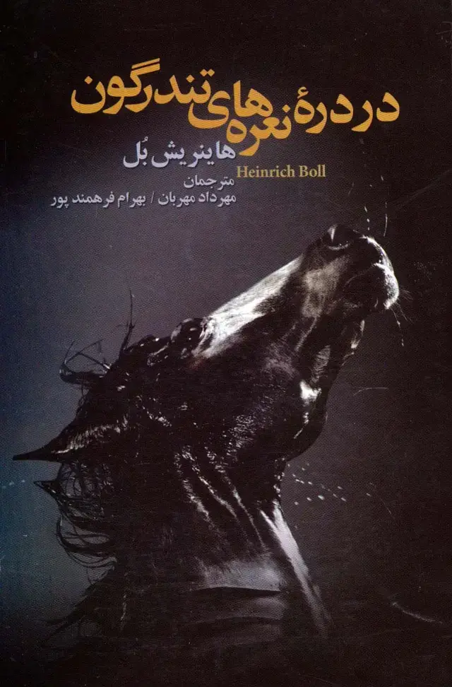 جلد کتاب در دره نعره های تندرگون