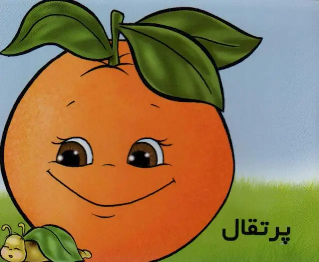 جلد کتاب میوه ها را بشناسیم (پرتقال)(گلاسه)