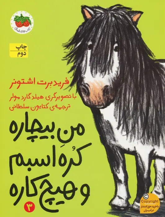 جلد کتاب من بیچاره 3 (کره اسبم و هیچ کاره)
