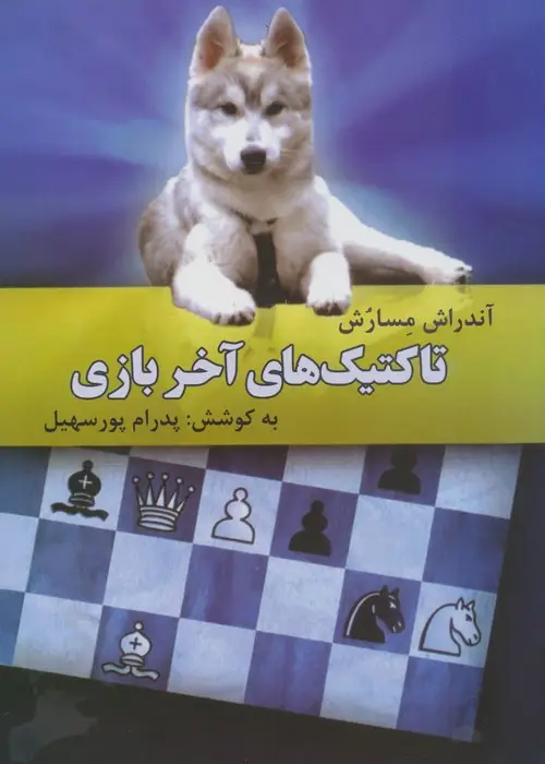 جلد کتاب تاکتیک های آخر بازی