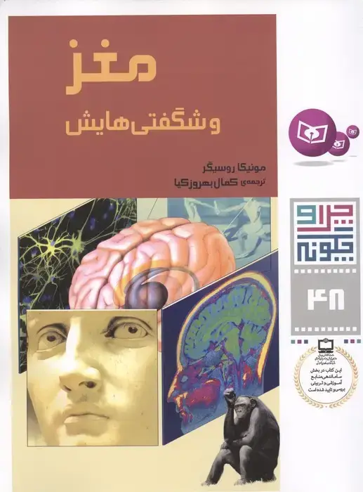 جلد کتاب چرا و چگونه48 (مغز و شگفتی هایش)