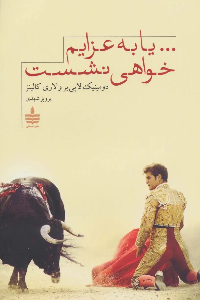جلد کتاب ...یا به عزایم خواهی نشست
