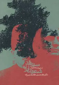 جلد کتاب سیر نقد شعر در ایران (از مشروطه تا 1332 ه.ش)